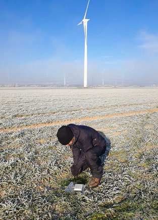 A man in dark clothing buries a measuring instrument about the size of a book in a field. Wind turbines in the background.